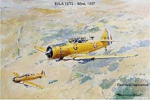 187- ARMEE DE L'AIR EN ALGERIE 1945-1962-35 (136)